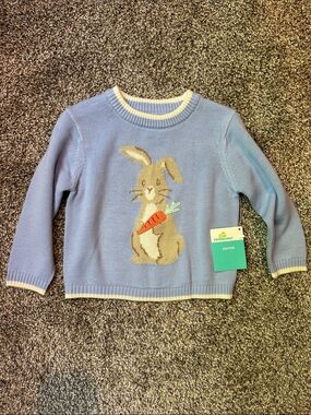 Boys Blue Bunny Sweater